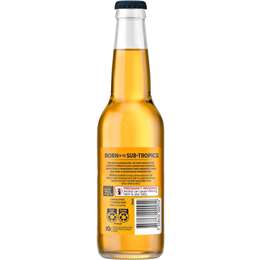 Hurricane Head Brewing Co Lager Bottle 