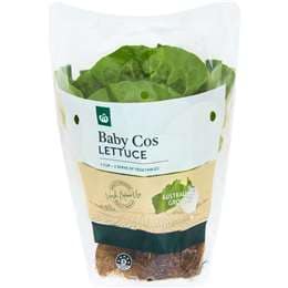 Woolworths Lettuce Baby Cos