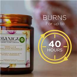 Air Wick Botanica Caribbean Vetiver & Sandalwood Wax Candle