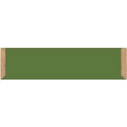 Elastoplast Green & Protect Sustainable Eco Friendly Plasters