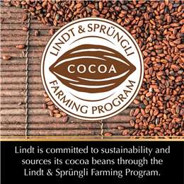 Lindt Excellence Dark Chocolate 85% Cocoa Block