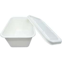 Savu Bagasse Food Storage 920ml