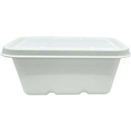 Savu Bagasse Food Storage 920ml