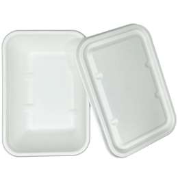 Savu Bagasse Food Storage 650ml