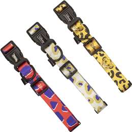 Lion king hot sale dog collar