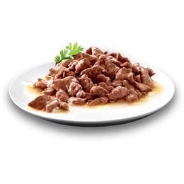Dine Classic Collection In Gravy Succulent Selection