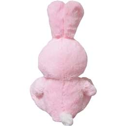 Easter Bunny 30cm Plush - Pink Each | Woolworths