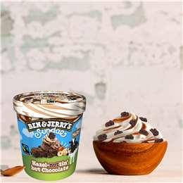 Ben & Jerry's Ice Cream Hazel-nuttin But Chocolate