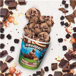 Ben & Jerry's Ice Cream Hazel-nuttin But Chocolate