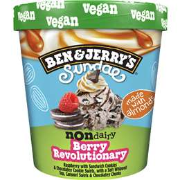 Ben & Jerry's Berry Revolution Non Dairy Frozen Dessert