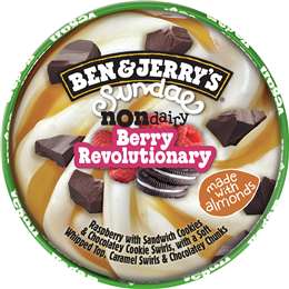 Ben & Jerry's Berry Revolution Non Dairy Frozen Dessert