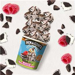 Ben & Jerry's Berry Revolution Non Dairy Frozen Dessert