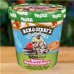 Ben & Jerry's Berry Revolution Non Dairy Frozen Dessert