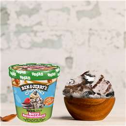 Ben & Jerry's Berry Revolution Non Dairy Frozen Dessert