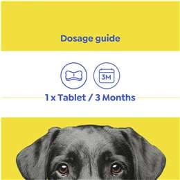 Total Care Allwormer For Dogs Dog Tablets Allwormer