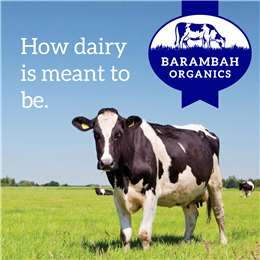 Barambah Organics Barambah Organics Probiotic Full Cream Organic Milk
