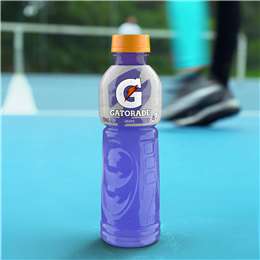 Gatorade Sports Drinks Grape Electrolyte Hydration Bottle