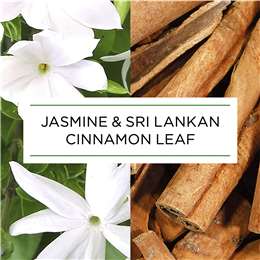 Airwick Botanica Jasmine &amp; Cinnamon Automatic Spray Starter Kit Each ...
