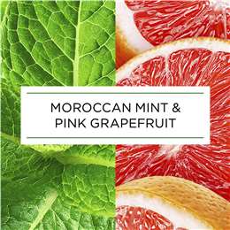 Air Wick Botanica Mint & Grapefruit Automatic Spray Refill