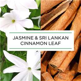 Air Wick Botanica Jasmine & Cinnamon Automatic Spray Refill