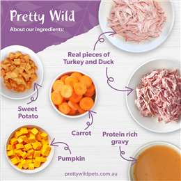 Pretty Wild Turkey & Duck Meatballs In Gravy