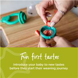 Tommee Tippee First Taste Fresh Food Feeder