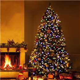 Christmas Mains Powered 250 Led Fairy Lights Multi 24.9m