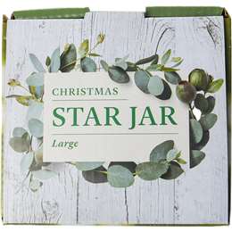 Christmas Star Glass Jar Large 880ml