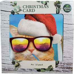 Christmas Cards Square Cat