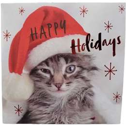 Christmas Cards Square Cat