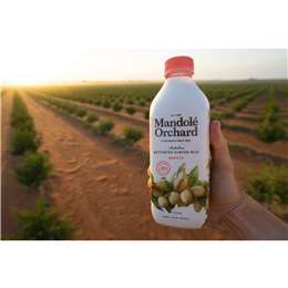 Mandole Orchard Mandole Orchard Barista Activated Almond Milk