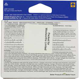 Epson Printer Ink 73n Black