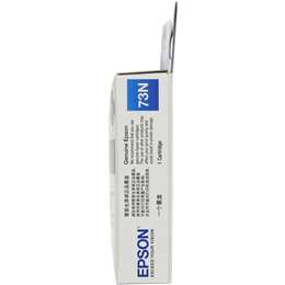 Epson Printer Ink 73n Black