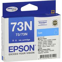 Epson Printer Ink 73n Cyan