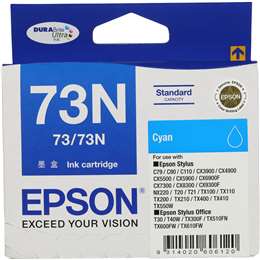Epson Printer Ink 73n Cyan