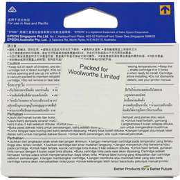 Epson Printer Ink 73n Cyan