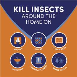 Aerogard Home Crawling-insect Spray