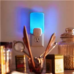 Raid Light Trap Plug In For Flying Insects
