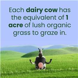 Five:am Organic Natural Yoghurt