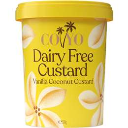 Coyo Dairy Free Coconut Custard Vanilla