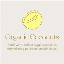 Coyo Dairy Free Coconut Custard Vanilla