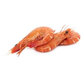  Thawed Medium Cooked Tiger Prawns