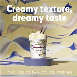 Haagen-dazs Vanilla Ice Cream Tub Ice Cream
