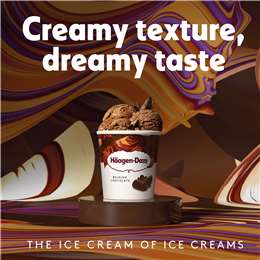Haagen-dazs Belgian Chocolate Ice Cream Tub