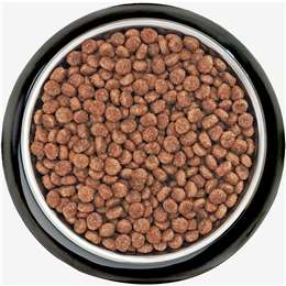 supercoat puppy food woolworths