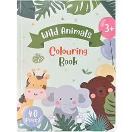 Colouring Book 40 Pages Assorted each