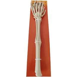 Halloween Serving Skeleton Hands 2 pack