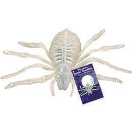 Mirabella Spider Skeleton Glow In The Dark Decoration each