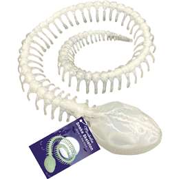 Mirabella Snake Skeleton Glow In The Dark Decoration each