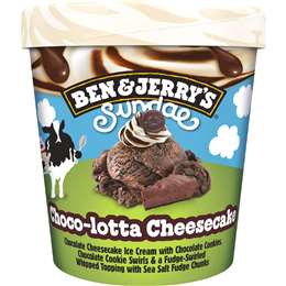 Ben & Jerry's Sundae Choco-lotta Cheesecake Tub 427mL